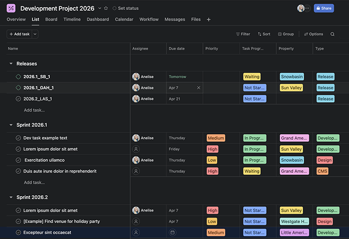 Asana Development Planning